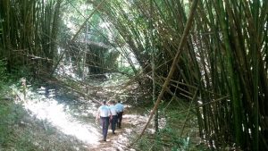 L'équipe de gendarmes dans la bambouseraie de Soulou ce dimanche 5 avril 2015