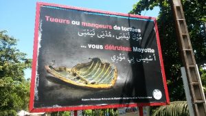 Tortues Campagne REMMAT GP