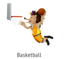 Basket jeux des iles