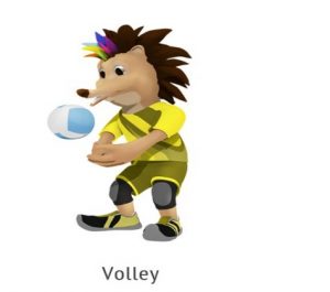 Volley jeux des iles