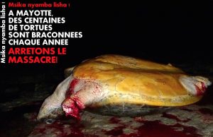 Nouvelle campagne d'affichage