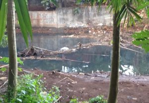 La rivière est devenu noire ce lundi 1ère juin. Signalement a été fait à l'ARS