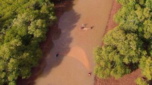 Une pêche illégale dans la mangrove de Kawéni