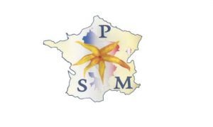 PSM logo