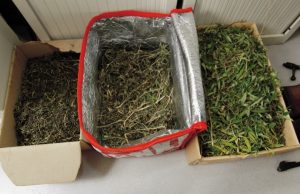 Des cartons de zamals, comme ceux retrouvé chez "tonton" Inel (Crédits photo : JIR)