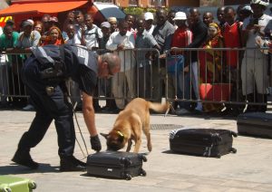 Démonstration de l'équipe cynophile de la gendarmerie
