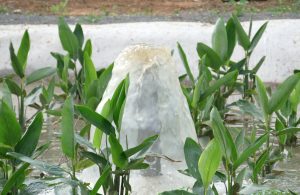 Déversement des effluents