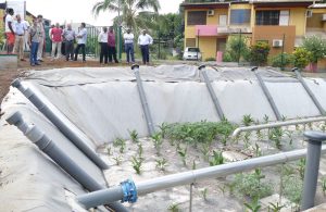 Inauguration de la station d'épuration à filtres plantés à Combani