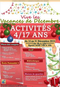Activités Pamandzi