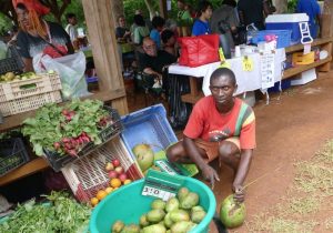 Au marché paysan de Coconi
