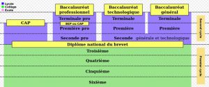 Les cursus de scolarité