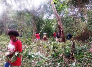 Les élèves de Coconi ont créé de nouvelles parcelles plantées pour travailler sur l'autonomie d'une exploitation
