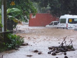 Les noix de coco bloquent l'évacuation (Photos D.R.)