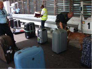 Contrôle des bagages par les chiens 