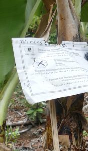Une feuille informative en trois langues, accrochée aux arbres