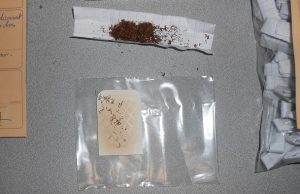 Tabac et chimique saisis par la gendarmerie en 2015 à Mayotte