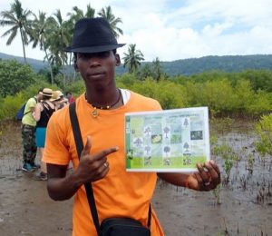 Rando mangrove à Bandrélé pour les jeunes de l'atelier kayak