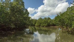 Mayotte autour du lagon