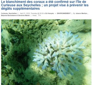 Blanchissement des coraux aux Seychelles