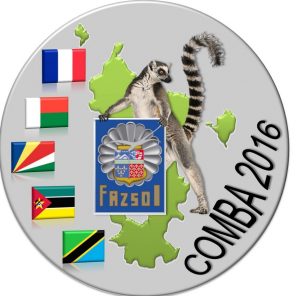 "Comba 2016", l'exercice interalliés mené par les FAZSOI