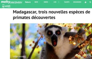 Lémuriens Madagascar