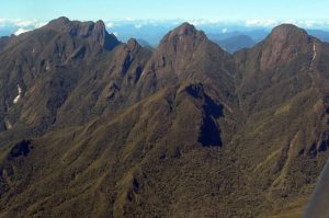 Les forêts humides de l'Antsiranana en péril pour le WWF