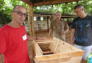 POur tout savoir sur la ruche africaine et les abeilles endémiques, contacter Jean-Pierre Papy !