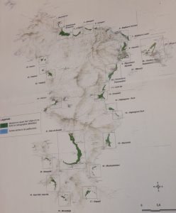 Les zones de mangrove 