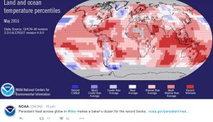 La carte mondiale des températures pour le mois de mai le plus chaud de l'histoire selon la NOAA