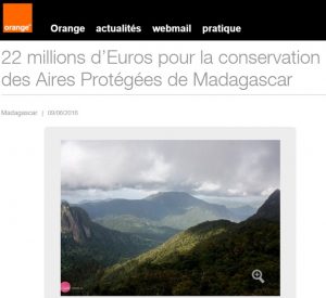 Orange Mada 10 6 16