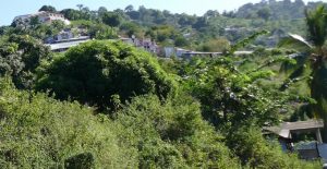 Le terrain de la famille Batrolo