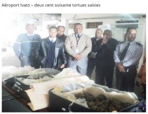 L'Express de Madagascar montre les 2 valises avec 130 bébés tortue chacune