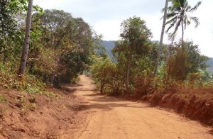 La piste serpente vers la réserve forestière d'Ongoujou