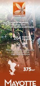 cbnm-mayotte-les-especes-vegetales