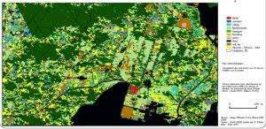 Cartographie des espaces agricoles par télédétection dans la zone de Combani (Image: Daaf)
