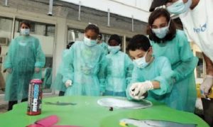 Hôpital d'enfants de La Réunion: Un tiers de petits patients Mahorais (Photo: JIR)
