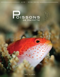 marc-allaria-poissons-de-mayotte