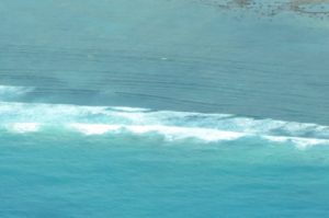 mer-lagon