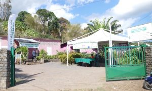 La station de recherche agronomique du conseil départemental à Dembéni