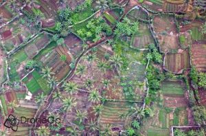 Une vue aérienne des zones agricoles par Drone Go (Image: DAAF Mayotte)
