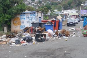 Ordures et déchets à Kawéni ce jeudi 13 octobre