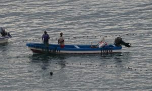 En dehors de deux ou trois gros armateurs, la pêche est encore très artisanale à Mayotte