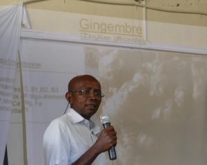 Le gingembre joue toujours les vedettes, Salim Moussa en détaille les vertus