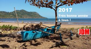 bonne-annee-2017