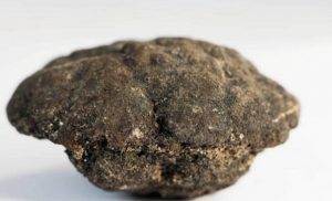 Ces nodules pourraient devenir à terme, le principal gisement de minerais de la planète
