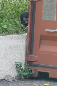 Un sniper en embuscade