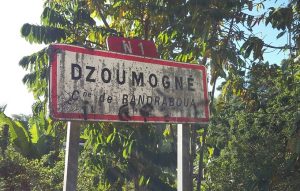 Dzoumogné