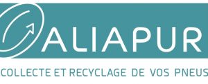 Aliapur logo