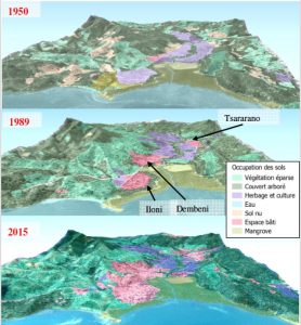 Evolution des surfaces végétales