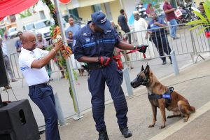 Mis à l'honneur, les chiens étaient plutôt nerveux